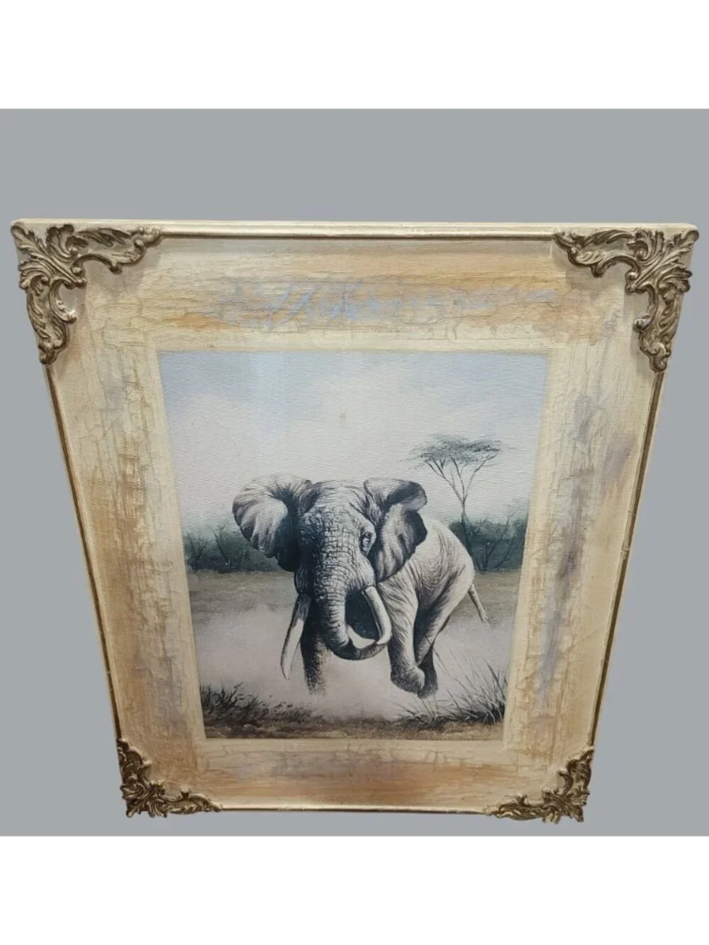 Charging Elephant Stretched Canvas Wall Art Print Wooden Frame